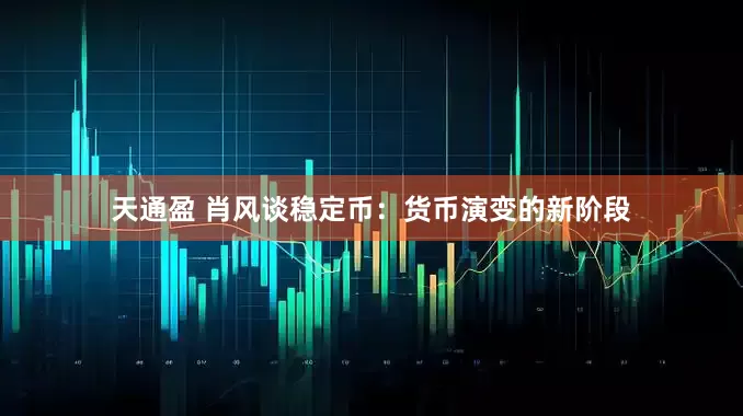 天通盈 肖风谈稳定币：货币演变的新阶段